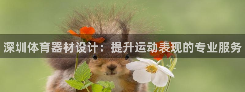 富联平台登录网址查询：深圳体育器材设计：提升运动表现