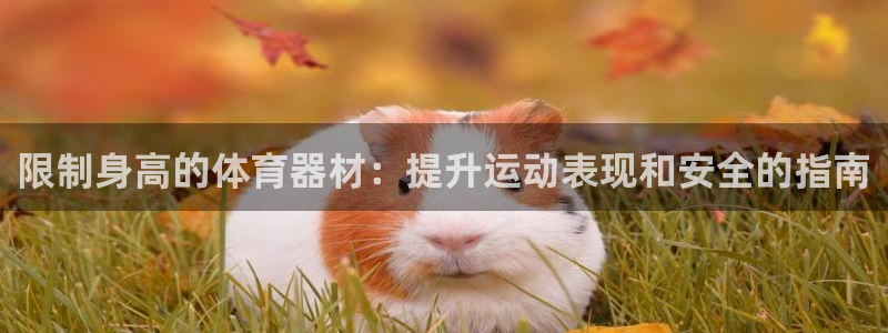 富联平台登陆：限制身高的体育器材：提升运动表现和安全