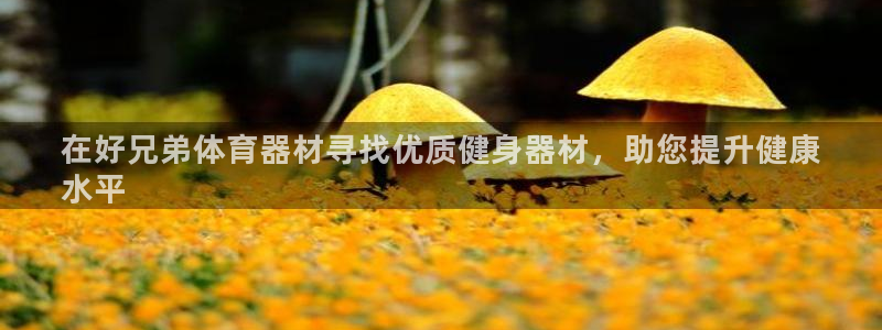 富联申购是什么股票啊：在好兄弟体育器材寻找优质健身器