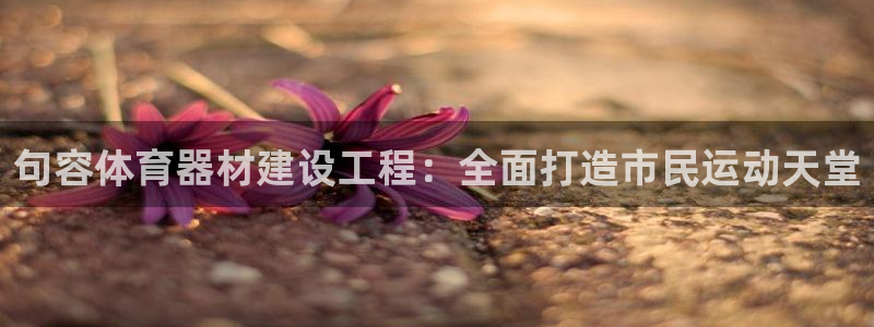 富联平台登录网址是什么：句容体育器材建设工程：全面打