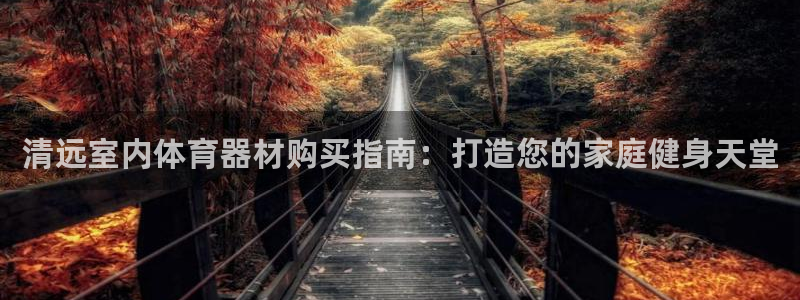 富联平台代理注册要钱吗：清远室内体育器材购买指南：打