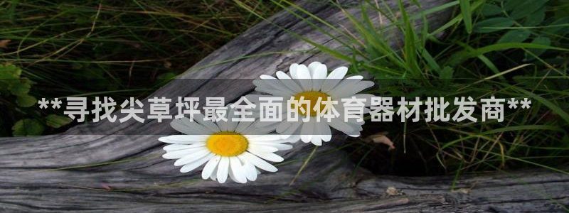 富联娱乐总代理是谁：**寻找尖草坪最全面的体育器材批