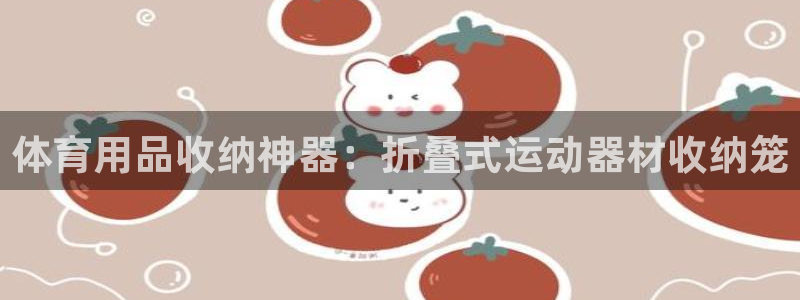 富联申购上市价格预测表：体育用品收纳神器：折叠式运动