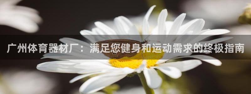 富联娱乐股东构成：广州体育器材厂：满足您健身和运动需