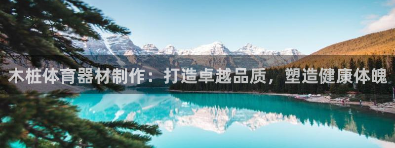 富联娱乐官方网站入口：木桩体育器材制作：打造卓越品质