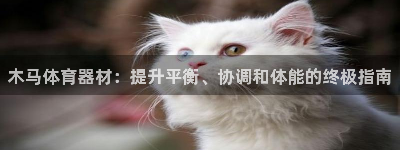 富联平台登录网址是多少：木马体育器材：提升平衡、协调
