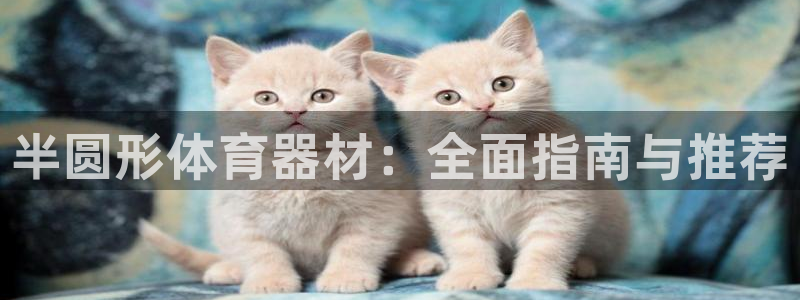 富联娱乐按7O777：半圆形体育器材：全面指南与推荐