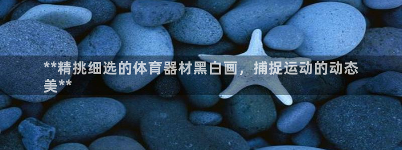 香港富联集团：**精挑细选的体育器材黑白画，捕捉运动