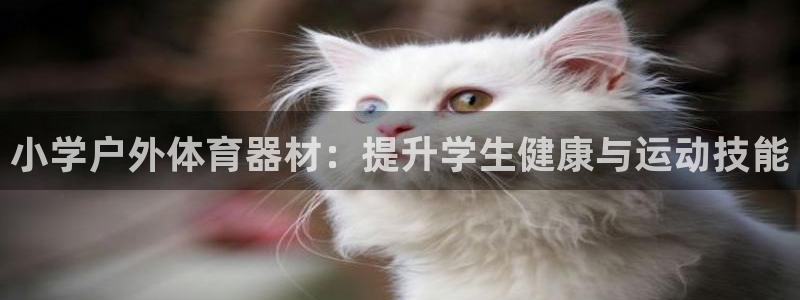 富联平台网站：小学户外体育器材：提升学生健康与运动技