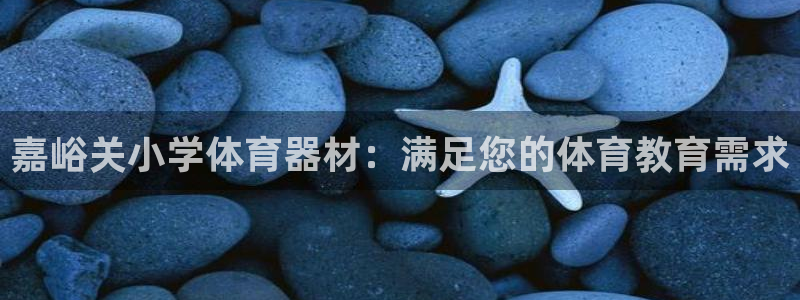 富联官方网站下载安装最新版：嘉峪关小学体育器材：满足