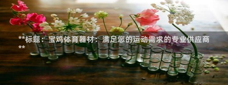 富联娱乐测速登录失败：**标题：宝鸡体育器材：满足您
