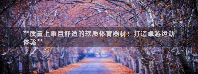 富联申购什么时间上市：**质量上乘且舒适的软质体育器
