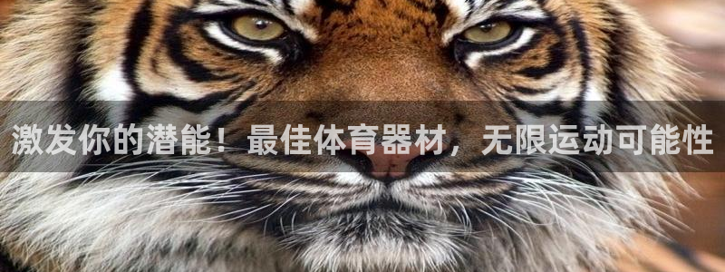 富联娱乐登录注册入口官网：激发你的潜能！最佳体育器材