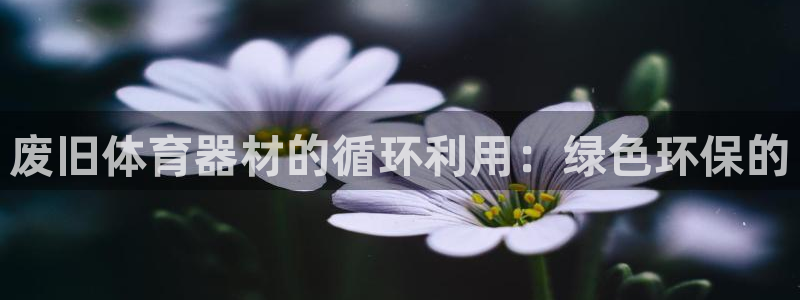 富联平台是什么：废旧体育器材的循环利用：绿色环保的