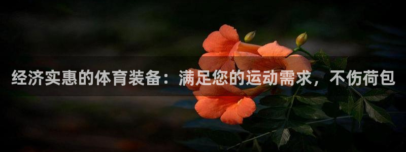 富联娱乐按7O777：经济实惠的体育装备：满足您的运