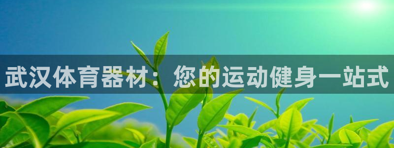 富联平台娱乐：武汉体育器材：您的运动健身一站式