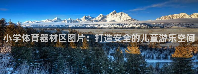 富联娱乐测速登录失败：小学体育器材区图片：打造安全的