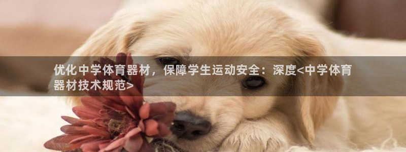 富联娱乐登录注册入口官网网址查询：优化中学体育器材，