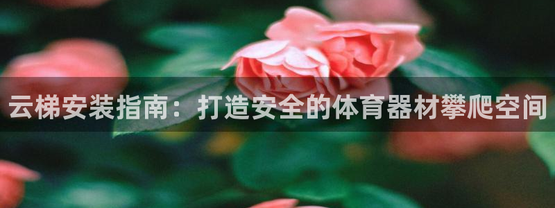 富联娱乐老板是谁：云梯安装指南：打造安全的体育器材攀