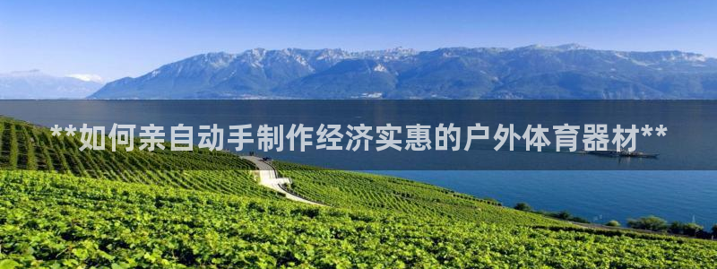 富联娱乐测速：**如何亲自动手制作经济实惠的户外体育