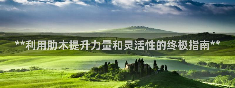 富联平台总代：**利用肋木提升力量和灵活性的终极指南