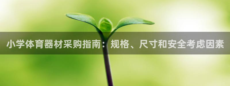 富联娱乐心 5o69I7：小学体育器材采购指南：规格