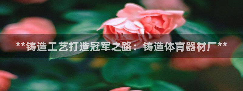 富联官网代理系列产品：**铸造工艺打造冠军之路：铸造