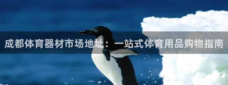 富联平台按7O777：成都体育器材市场地址：一站式体