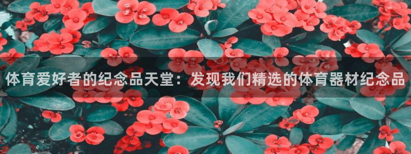 富联平台登录网址是什么：体育爱好者的纪念品天堂：发现