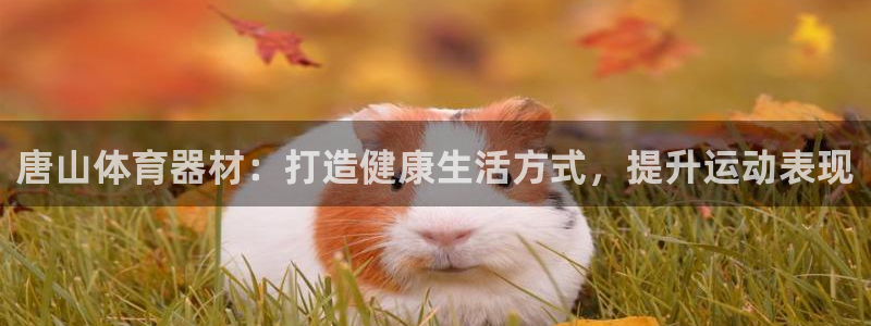 富联娱乐正规吗：唐山体育器材：打造健康生活方式，提升