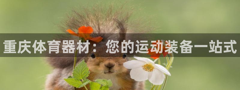 富联平台注册登录入口：重庆体育器材：您的运动装备一站