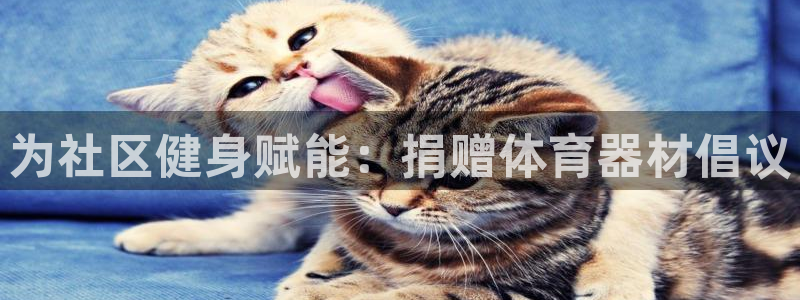 富联娱乐测速地址查询：为社区健身赋能：捐赠体育器材倡