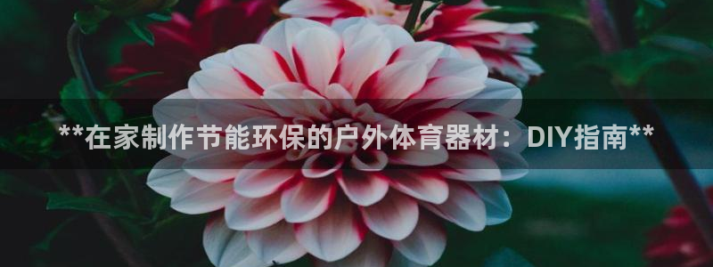 富联平台安装：**在家制作节能环保的户外体育器材：D