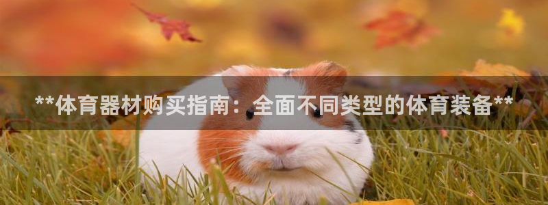 富联平台半7O777：**体育器材购买指南：全面不同