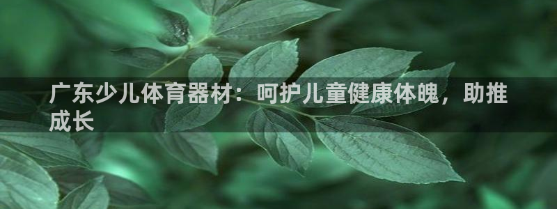 富联官方网站入口下载：广东少儿体育器材：呵护儿童健康