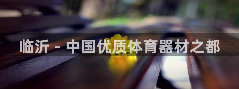 江西富联地产：临沂 - 中国优质体育器材之都