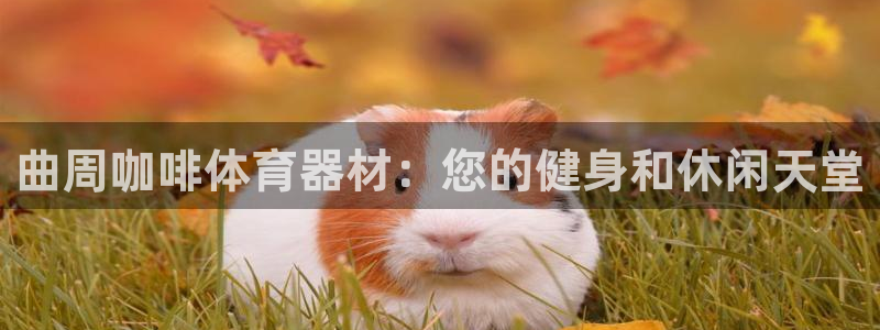 富联官方网站入口网址是多少：曲周咖啡体育器材：您的健