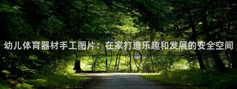富联娱乐登录地址在哪里：幼儿体育器材手工图片：在家打