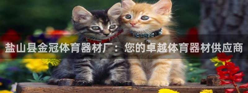 富联申购中签号：盐山县金冠体育器材厂：您的卓越体育器