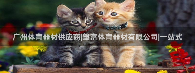 富联金融：广州体育器材供应商|肇富体育器材有限公司|