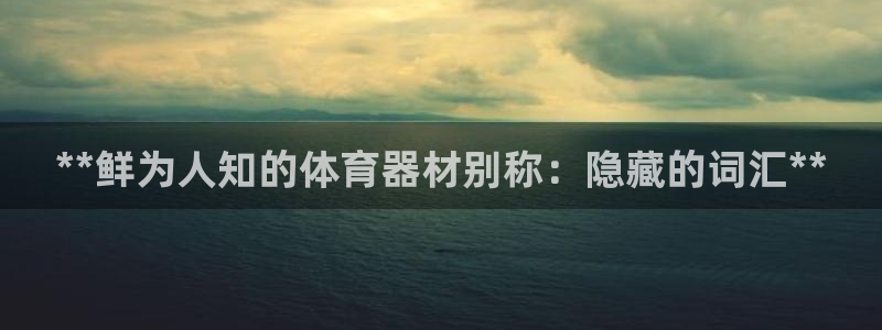 香港富联国际集团：**鲜为人知的体育器材别称：隐藏的