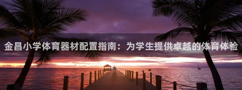 富联娱乐心 5o69I7：金昌小学体育器材配置指南：