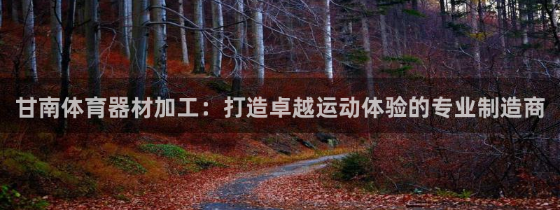 富联娱乐下载app：甘南体育器材加工：打造卓越运动体
