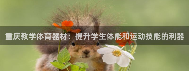 富联娱乐会员账号怎么注销：重庆教学体育器材：提升学生