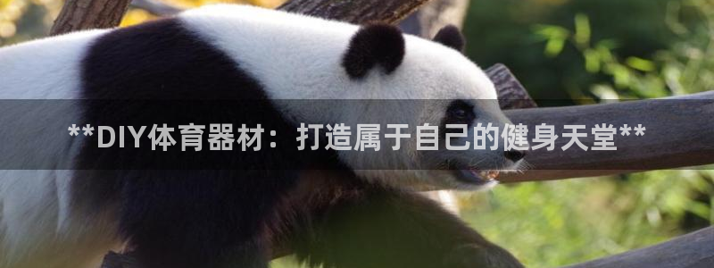 富联娱乐登录注册入口官网：**DIY体育器材：打造属