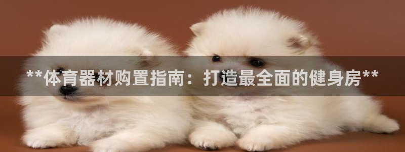 富联娱乐嗯 5O6917 富联：**体育器材购置指南