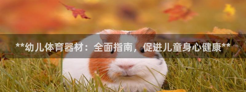 富联娱乐李 411O31 娱乐：**幼儿体育器材：全
