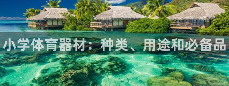 富联平台登录网址是多少：小学体育器材：种类、用途和必