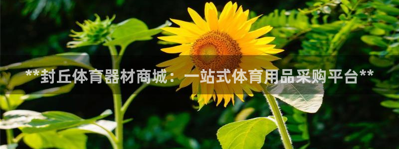 富联娱乐官方网站入口：**封丘体育器材商城：一站式体