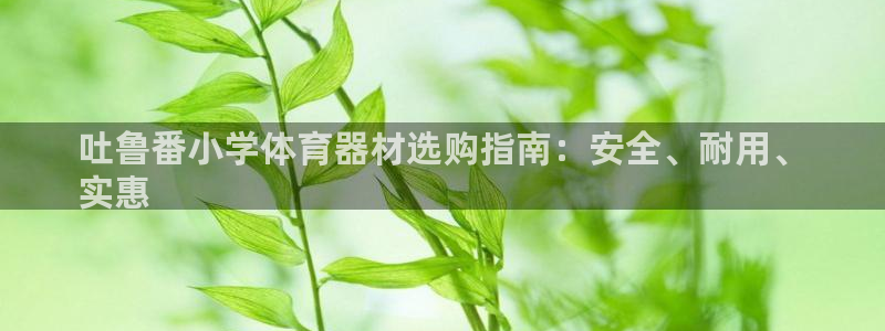 富联平台认可 585.34I 富联：吐鲁番小学体育器